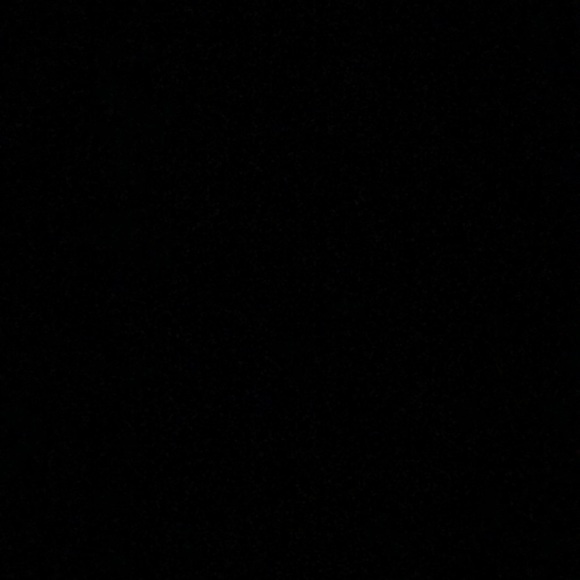 Meet your Posher, Haley - Picture 1 of 1